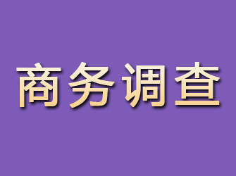 解放商务调查